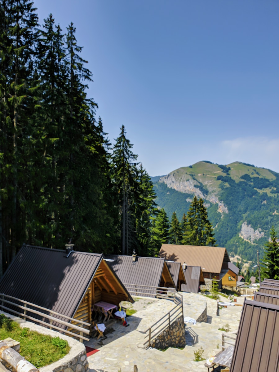 brown wooden houses near green mountain under blue sky during daytime