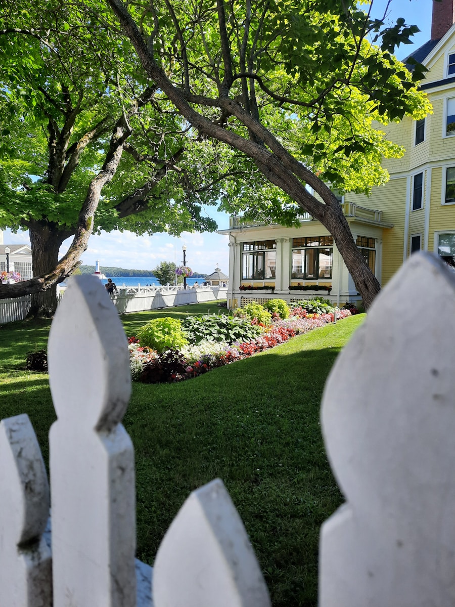 a tree next to a building